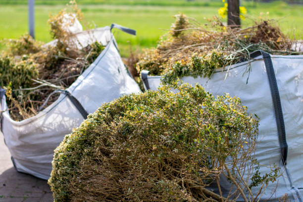 Attic Cleanout Services in Southaven, MS